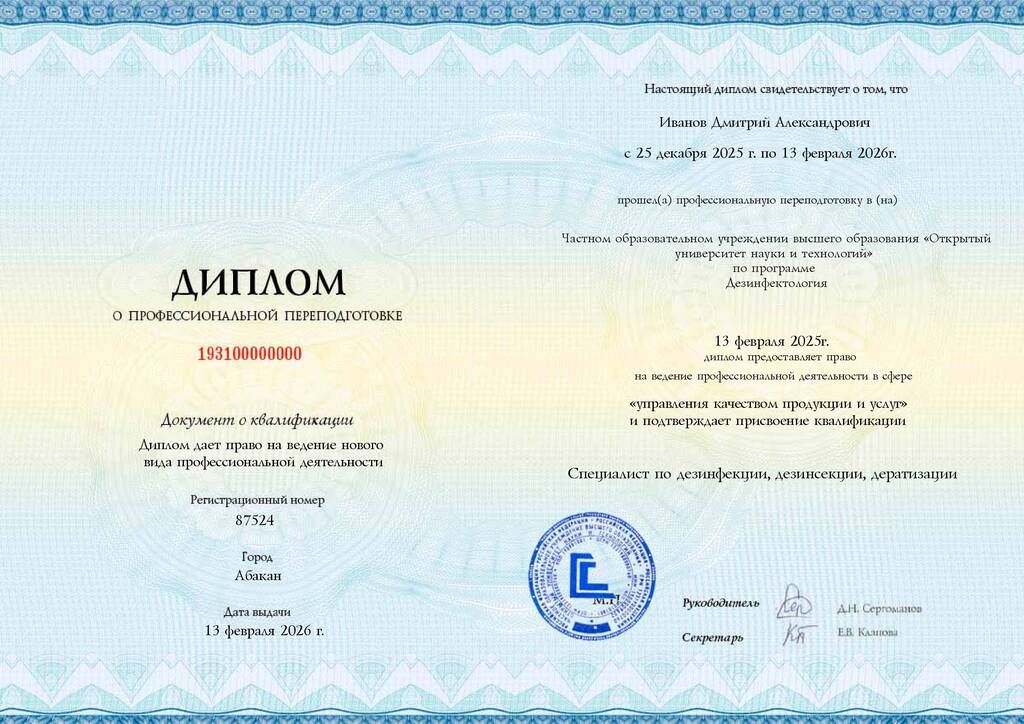 Образец диплома