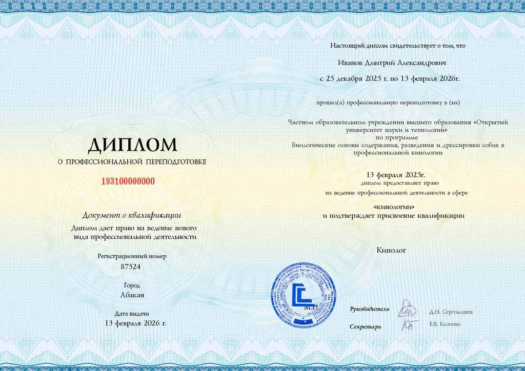Образец диплома